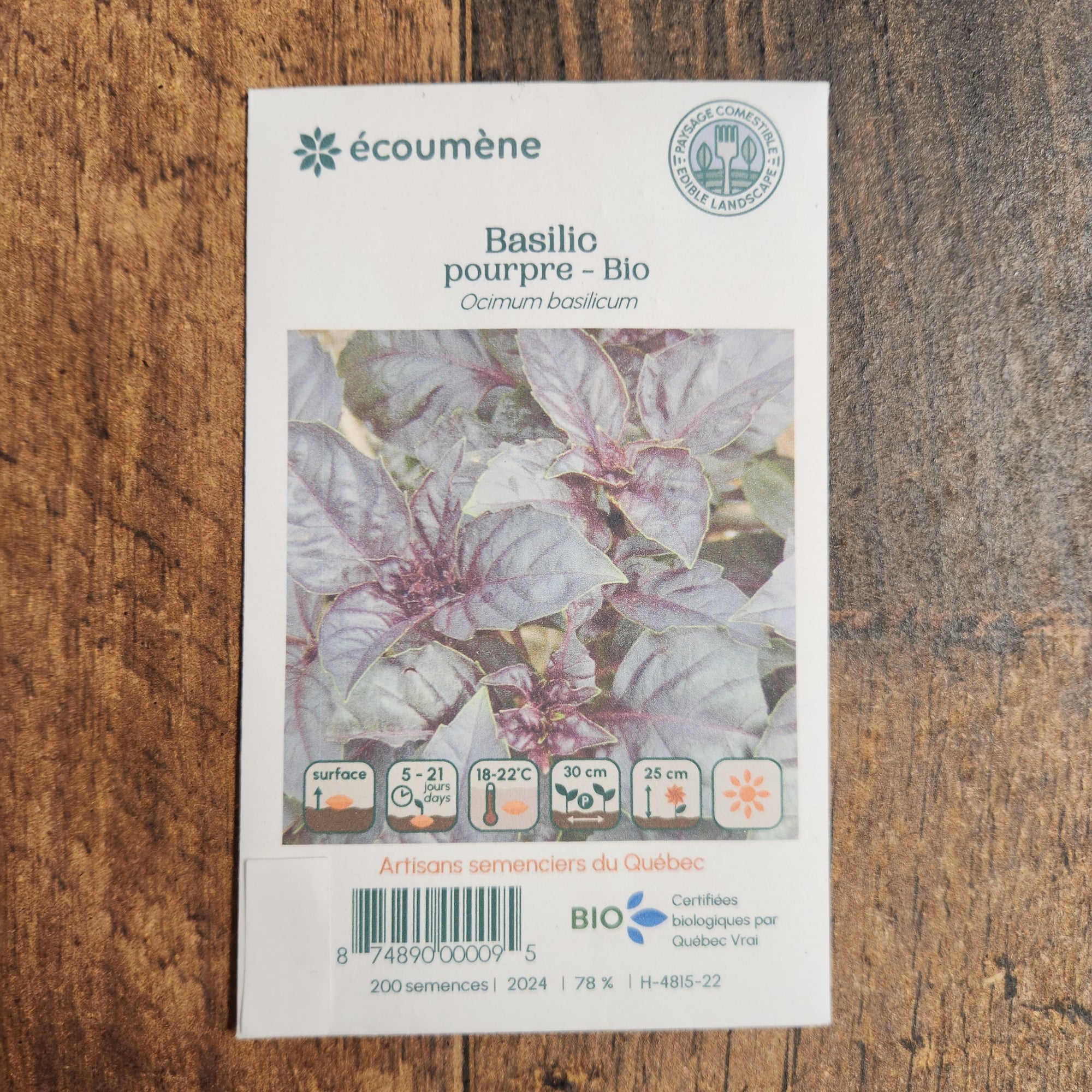 Organic purple basil