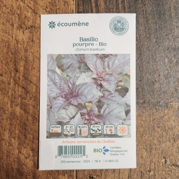 Organic purple basil