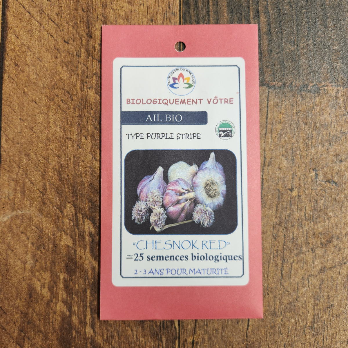 Ail ‘Chesnok Red’ bio (Allium sativum var. ophioscorodon)