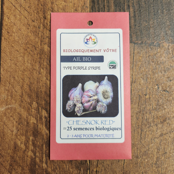 Organic 'Chesnok red' garlic