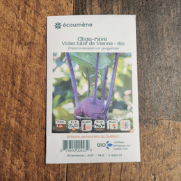 Chou-rave 'Violet hâtif de Vienne' bio