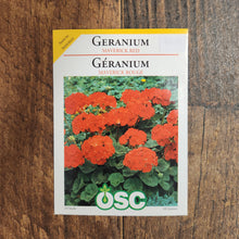 Géranium 'Maverick Rouge'