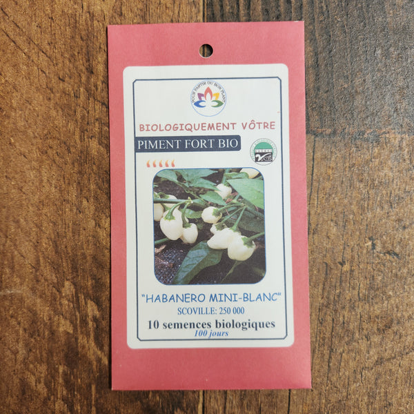Organic white 'Habanero Mini' hot pepper