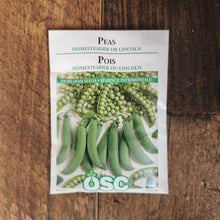 Pea 'incoln'