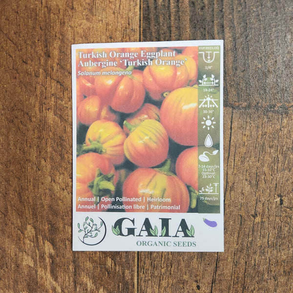 Eggplant 'Turkish Orange' organic