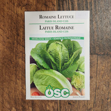 Laitue romaine 'Paris Island Cos'