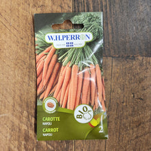 Carrot 'Napoli' organic