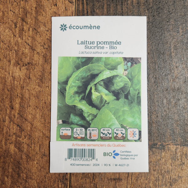 Organic 'Sucrine' Head Lettuce