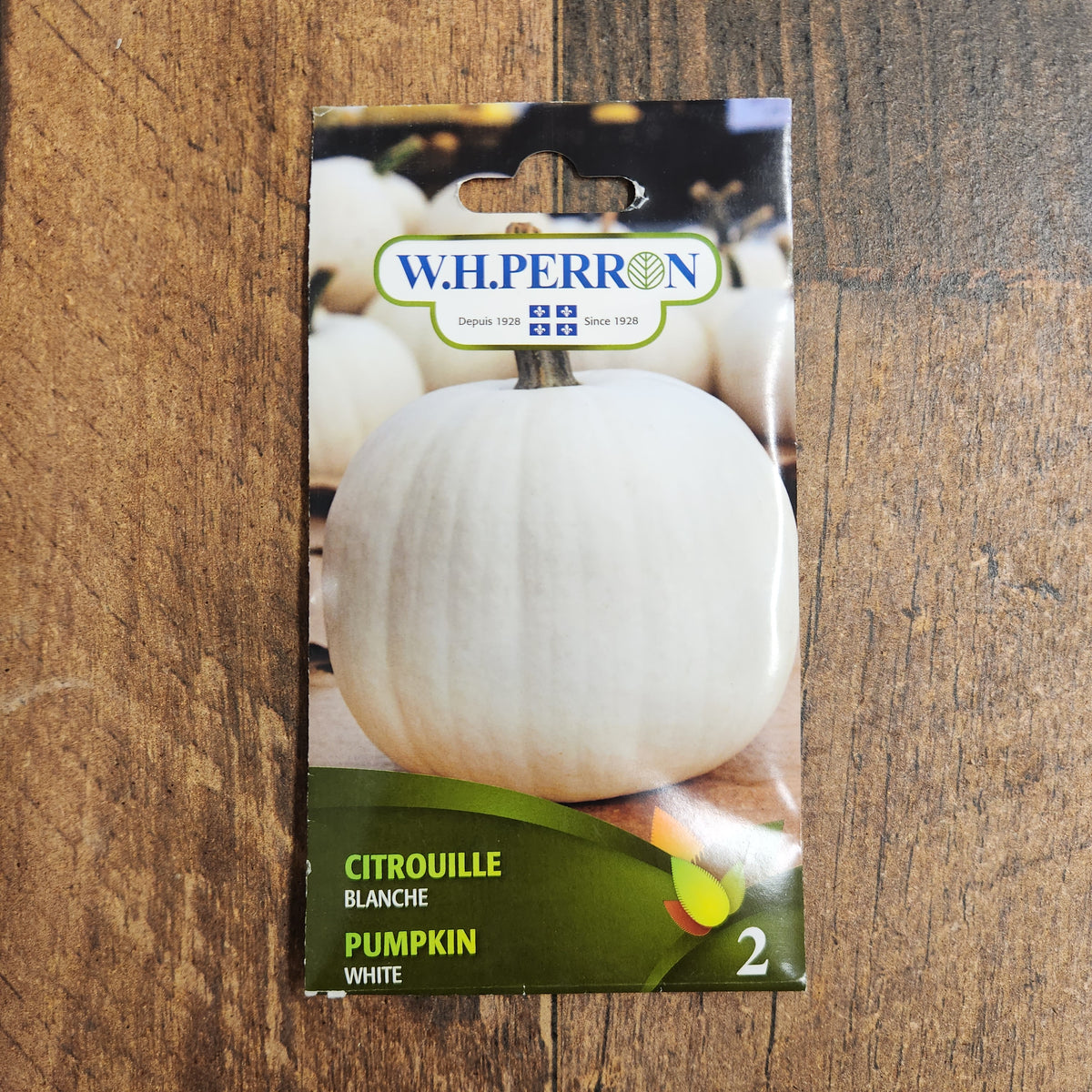 Photographie de Citrouille blanche (Cucurbita maxima), sélection proposée en semences W.H. Perron. Le visuel présente l’apparence de la plante ou de sa récolte et permet d’en observer les formes et les couleurs. Cette vue illustre les caractéristiques visibles de la sélection, dans une présentation destinée à accompagner son identification et à montrer son intérêt au jardin.