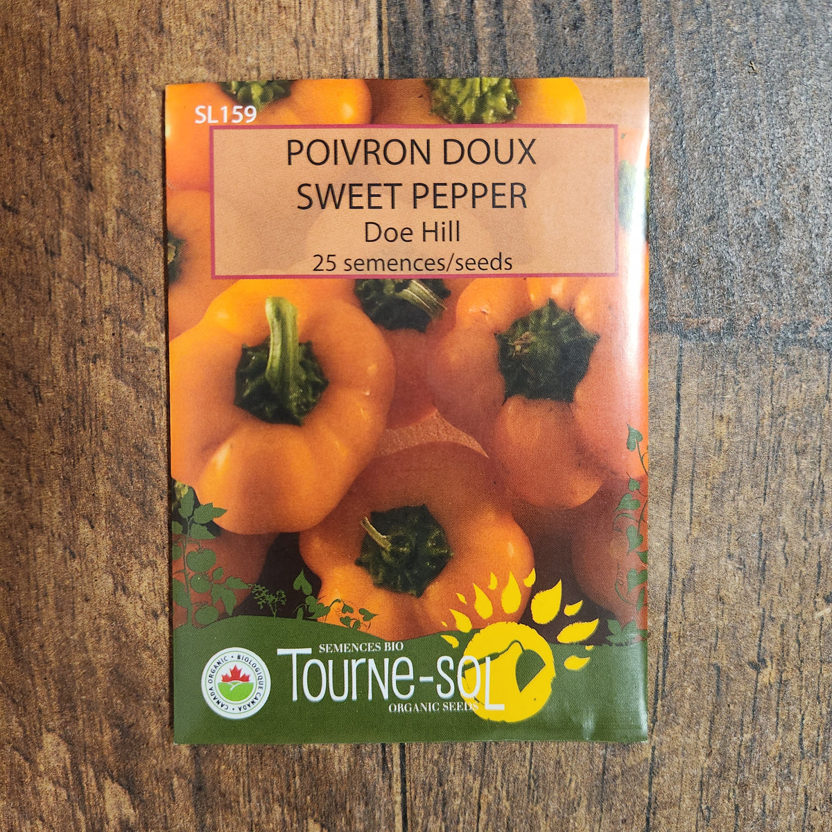 Poivron orange ‘Doe Hill’ (Capsicum annuum)