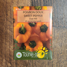 Organic 'Doe Hill' Orange Pepper