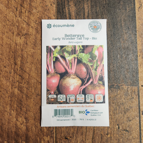 Organic 'Early Wonder Tall Top' beetroot