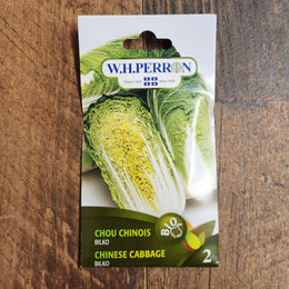 Organic 'Bilko' Chinese cabbage