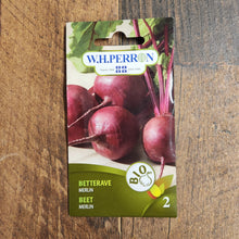 Beetroot 'Merlin' organic