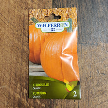 Citrouille orange