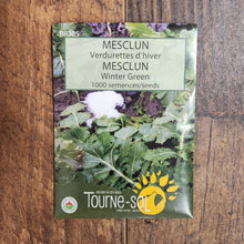 Organic 'Winter Greens' Mesclun