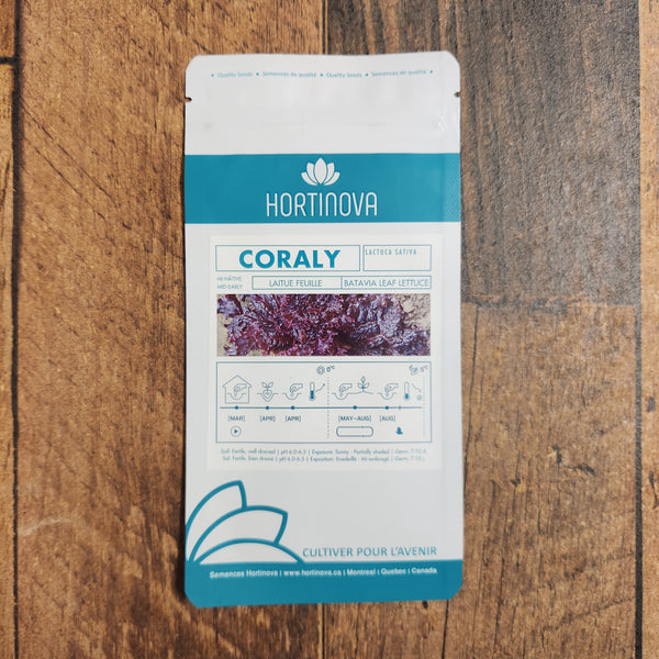 Red lettuce 'Batavia Coraly'