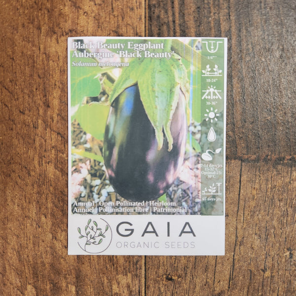 Organic 'Black Beauty' eggplant