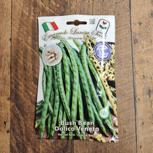 Bush bean 'Dolico Veneto'