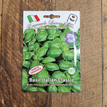 Basil Italian Classic 'Genovese'