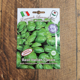 Basilic italien 'Classique Genovese'