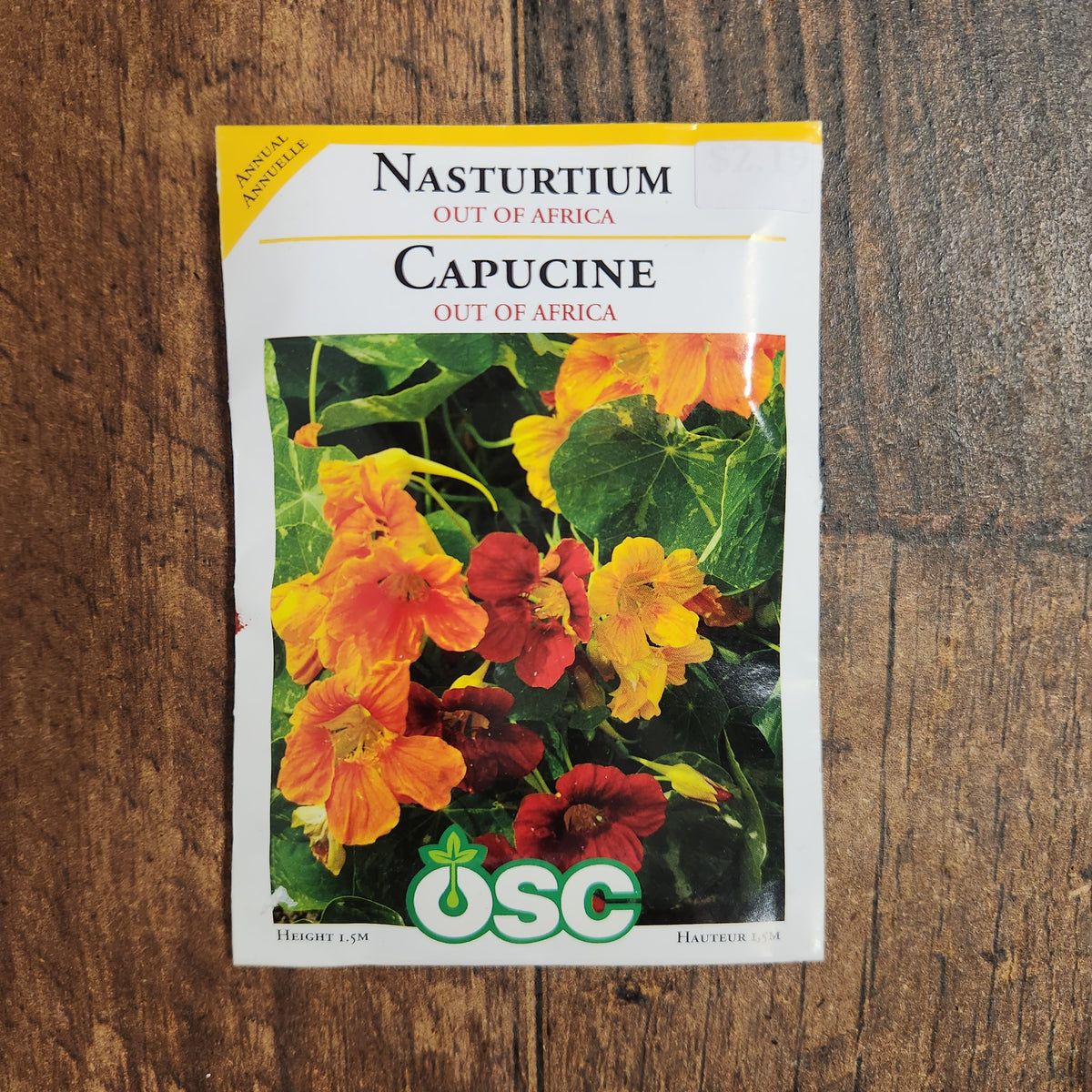 Nasturtium'Out of Africa'