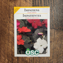 Impatiens ‘Imara XDR Mixed’ 