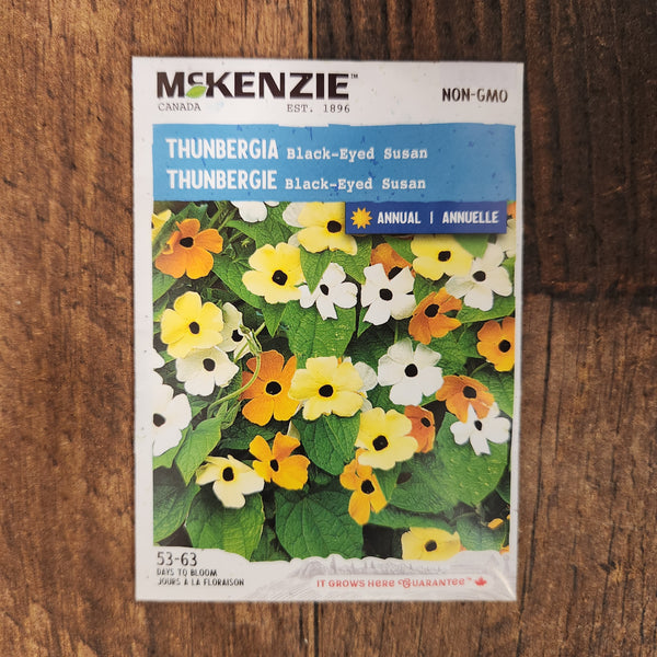 Thunbergia 'Black-Eyed Susan'