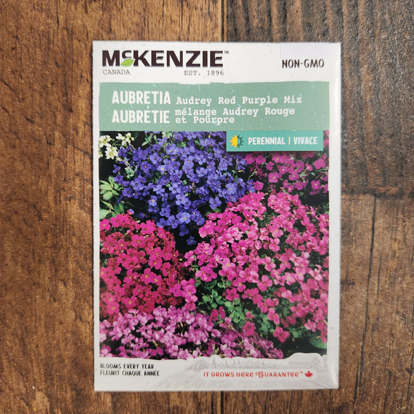 Aubretia mix 'Audrey' red and mauve