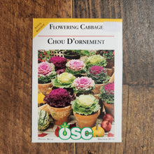 Ornamental Kale 