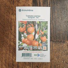 Sachet de semences Tomate Cerise Sungold. Emballage blanc photographié de face sur un fond de bois brun. Une image du végétal occupe la partie centrale, sous le nom imprimé. De petits pictogrammes et un code-barres apparaissent au bas du sachet. La marque Écoumène figure dans la partie supérieure de cette présentation.