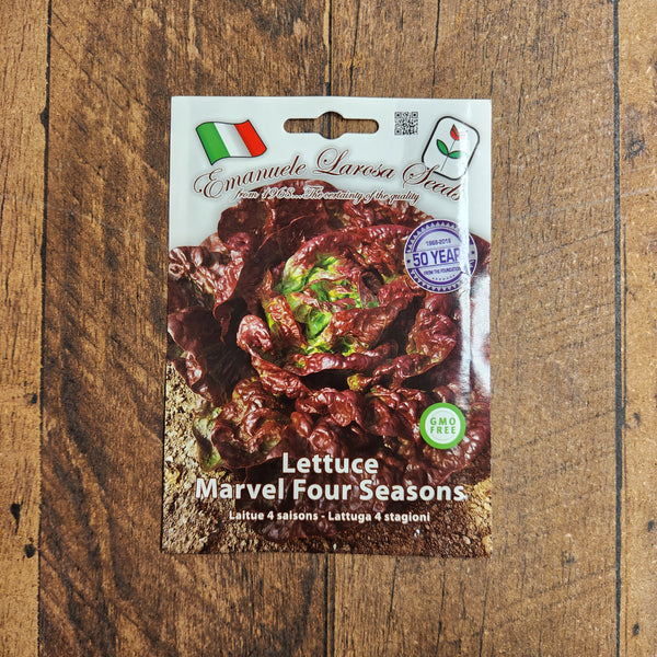 Four Seasons Lettuce 'Meraviglia'