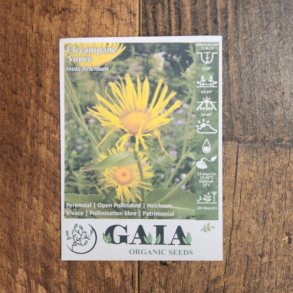 Elecampane organic