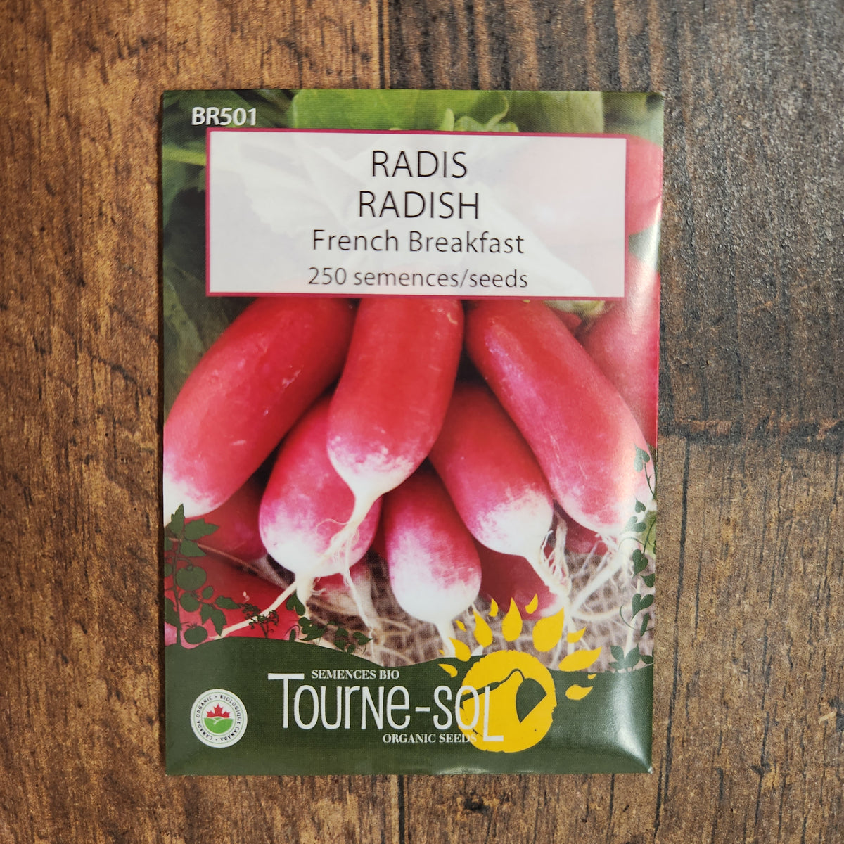 Radish ‘French Breakfast’ (Raphanus sativus)