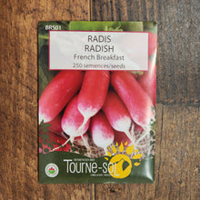 Organic 'French Breakfast' radishes