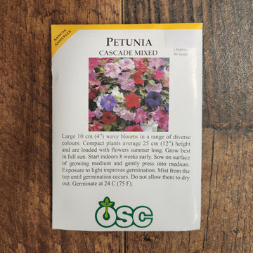 Petunia 'Mixed Cascade' 