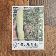 Armenian Cucumber Mix Organic 