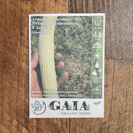 Armenian Cucumber Mix Organic 