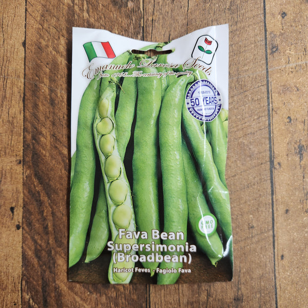 Fève 'Fava Supersimonia'