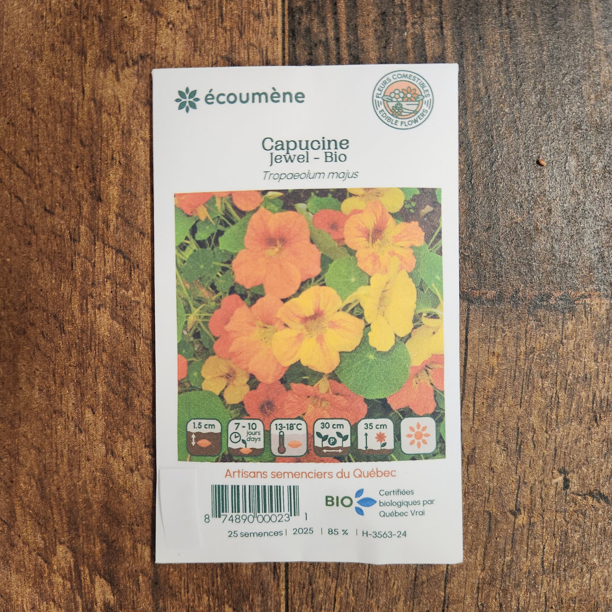 Organic Nasturtium 'Jewel'