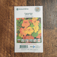 Organic Nasturtium 'Jewel'