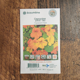 Organic Nasturtium 'Jewel'