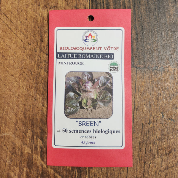 Organic dark red mini romaine lettuce 'Breen'