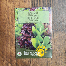 Organic lettuce mix
