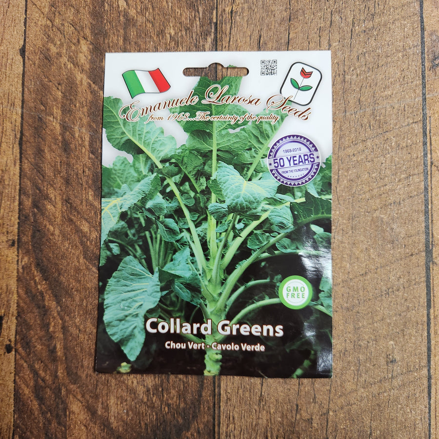 Chou cavalier 'Broccolo friulano'
