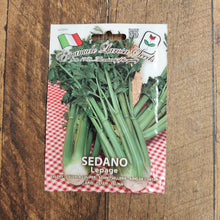 Celery 'Sedano Lepage'