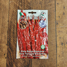 Pole bean 'Romano Fire Tongue Borlotto'