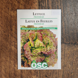 Lettuce 'Prizehead'