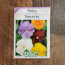Viola 'Mixed Colors'