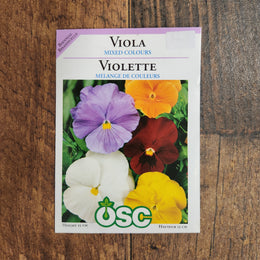 Viola 'Mixed Colors'